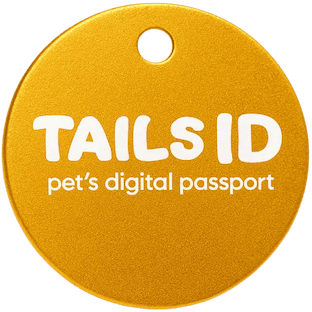 24K Mood QR pet tag