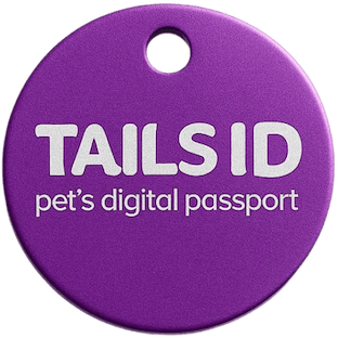 Celestial Hour QR pet tag