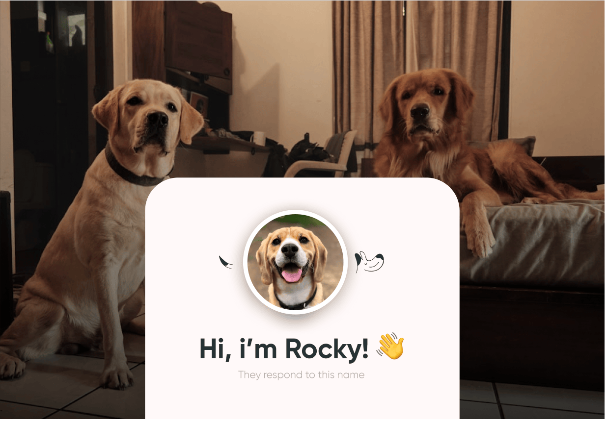 Pet Photo & Details