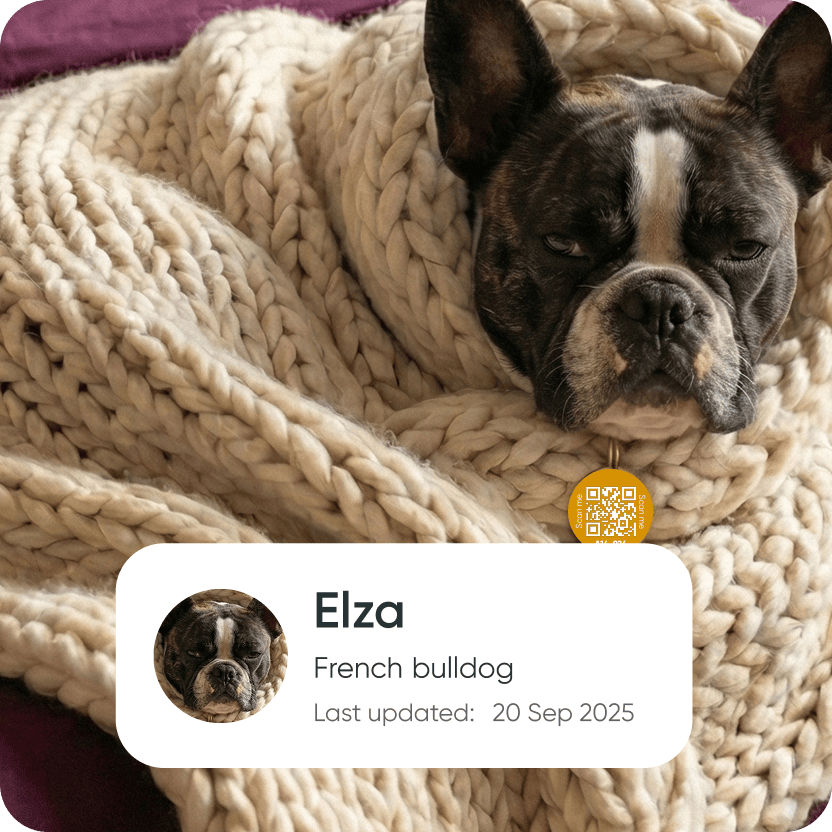 Upload pet photo