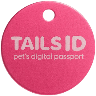 Sugar Rush QR pet tag