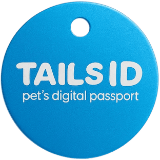 Teal Theory QR pet tag